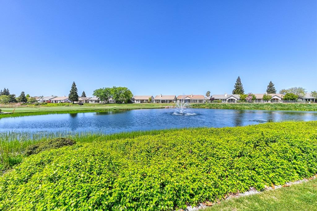 5204 Sugar Pine Loop