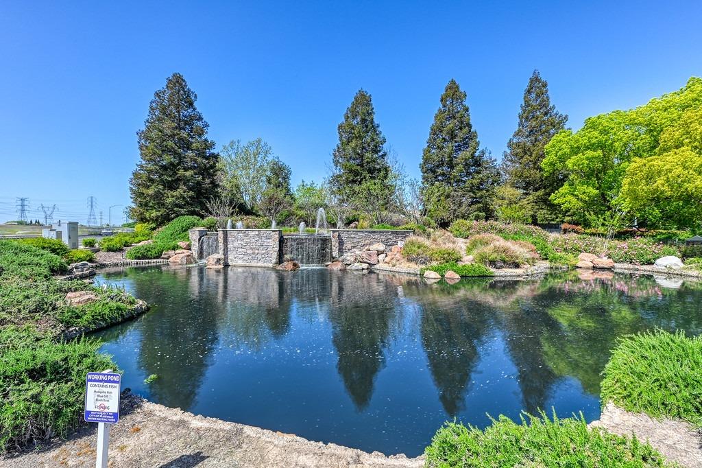 5204 Sugar Pine Loop