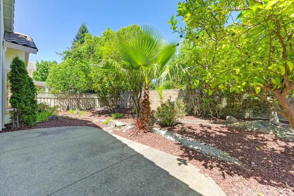 5204 Sugar Pine Loop