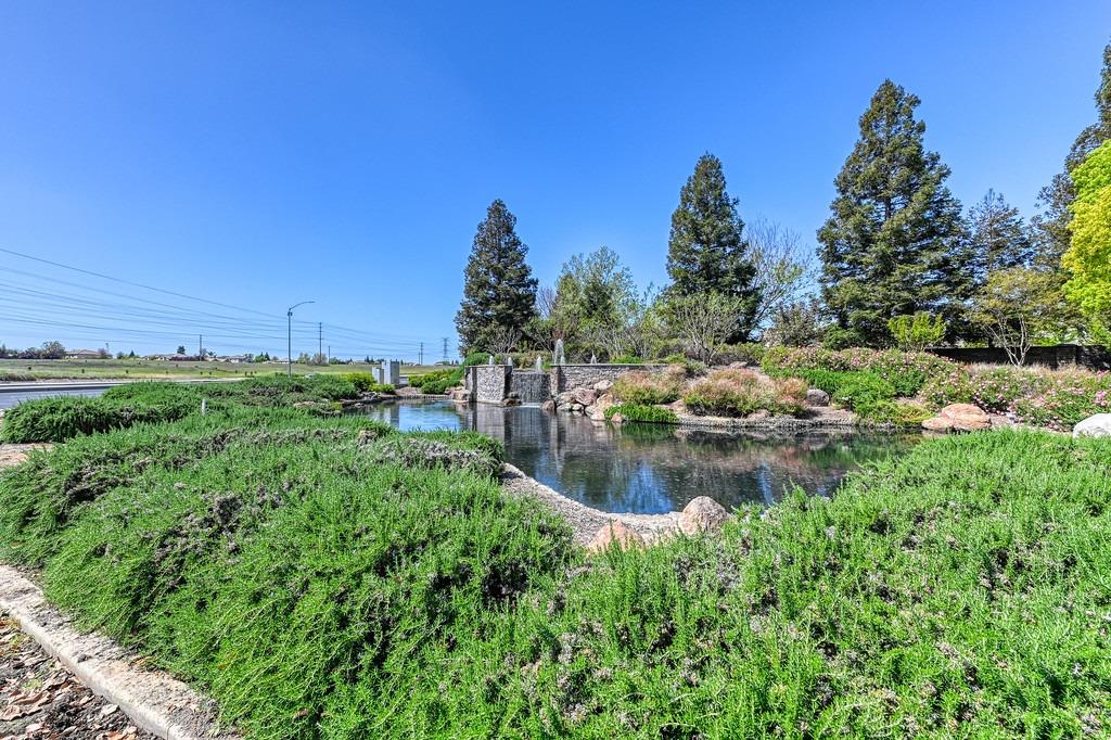 5204 Sugar Pine Loop