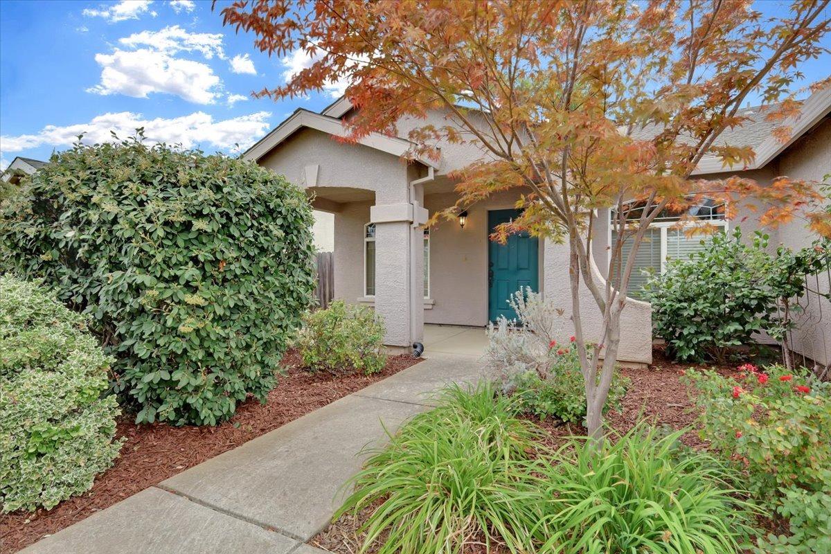 604 Carpenter Way
