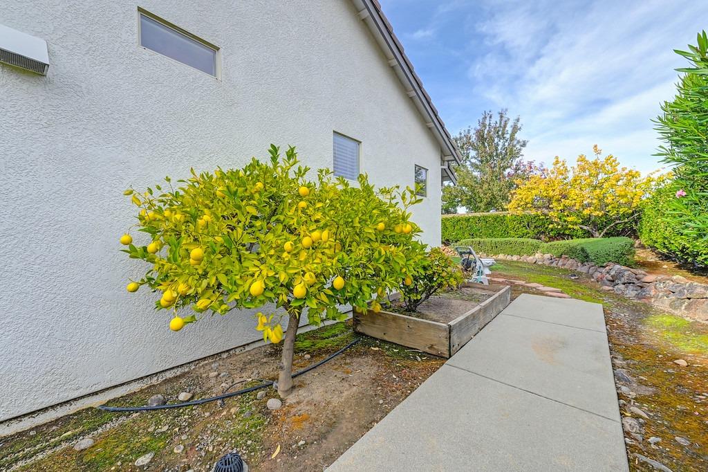 2440 Fountain Hill Loop