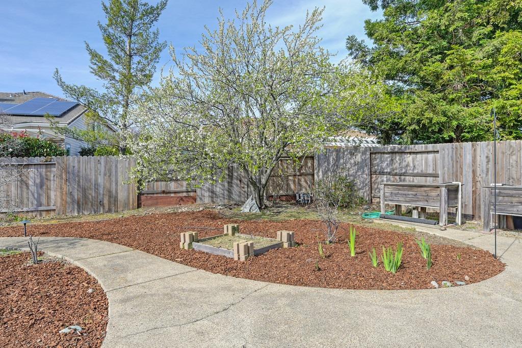 11005 Blue Wing Place