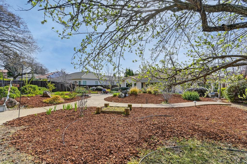 11005 Blue Wing Place