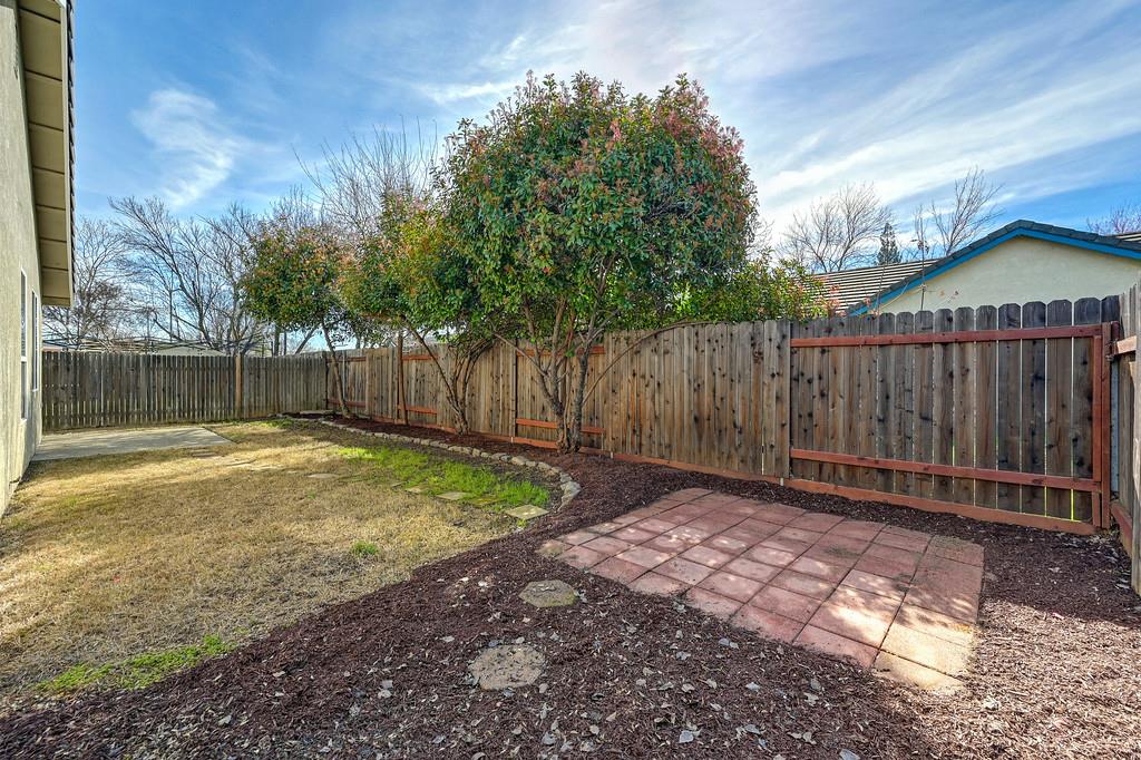 1725 Schellbach Drive