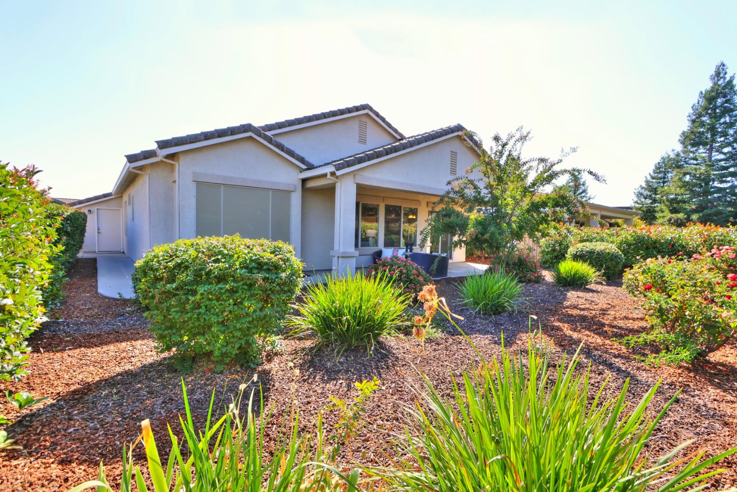 320 Cloverfield Court
