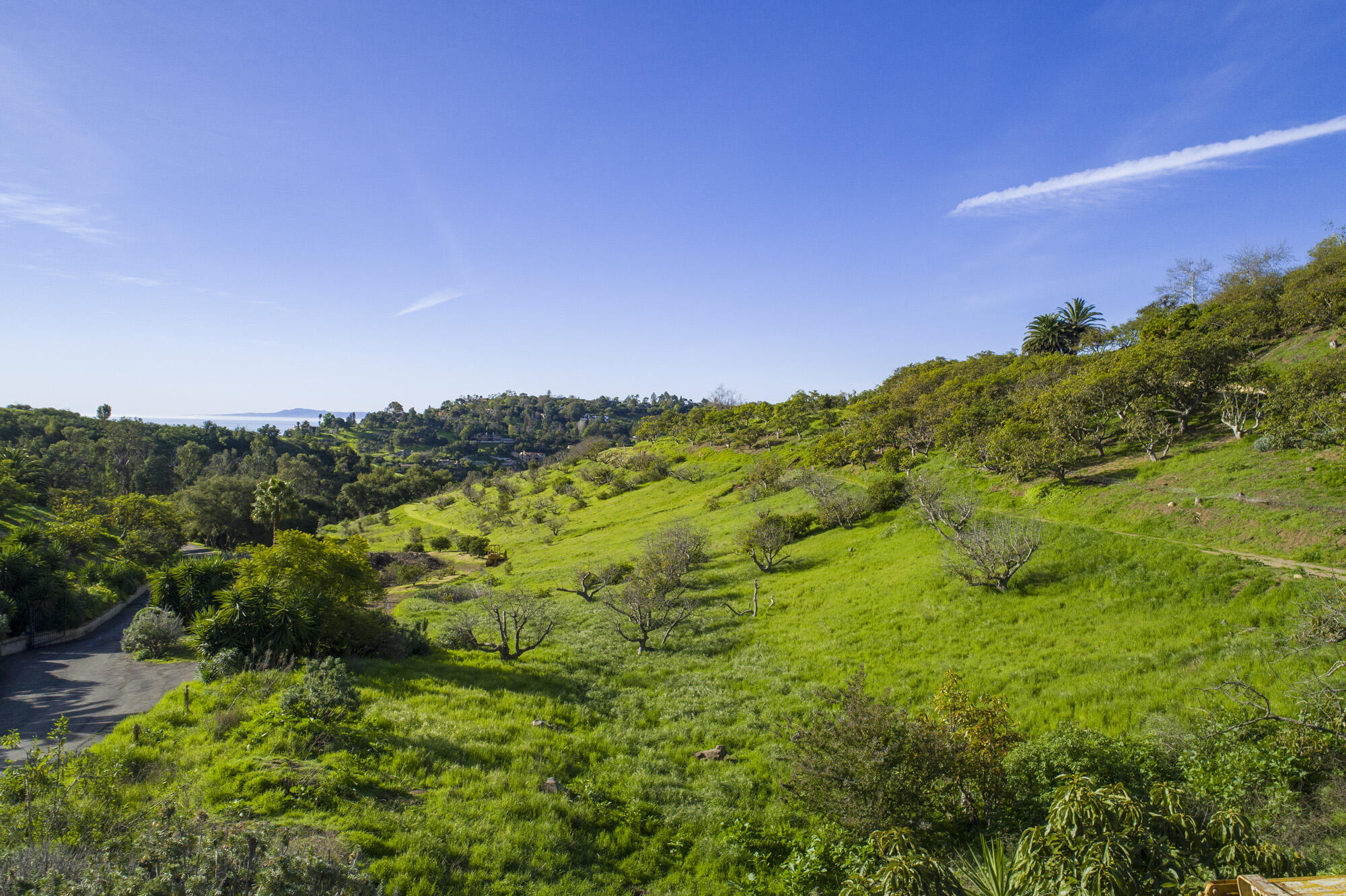 998 W Mountain Drive