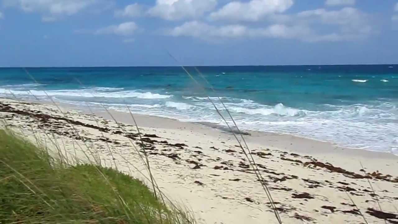 GUANA CAY Unit: 81 and 81A