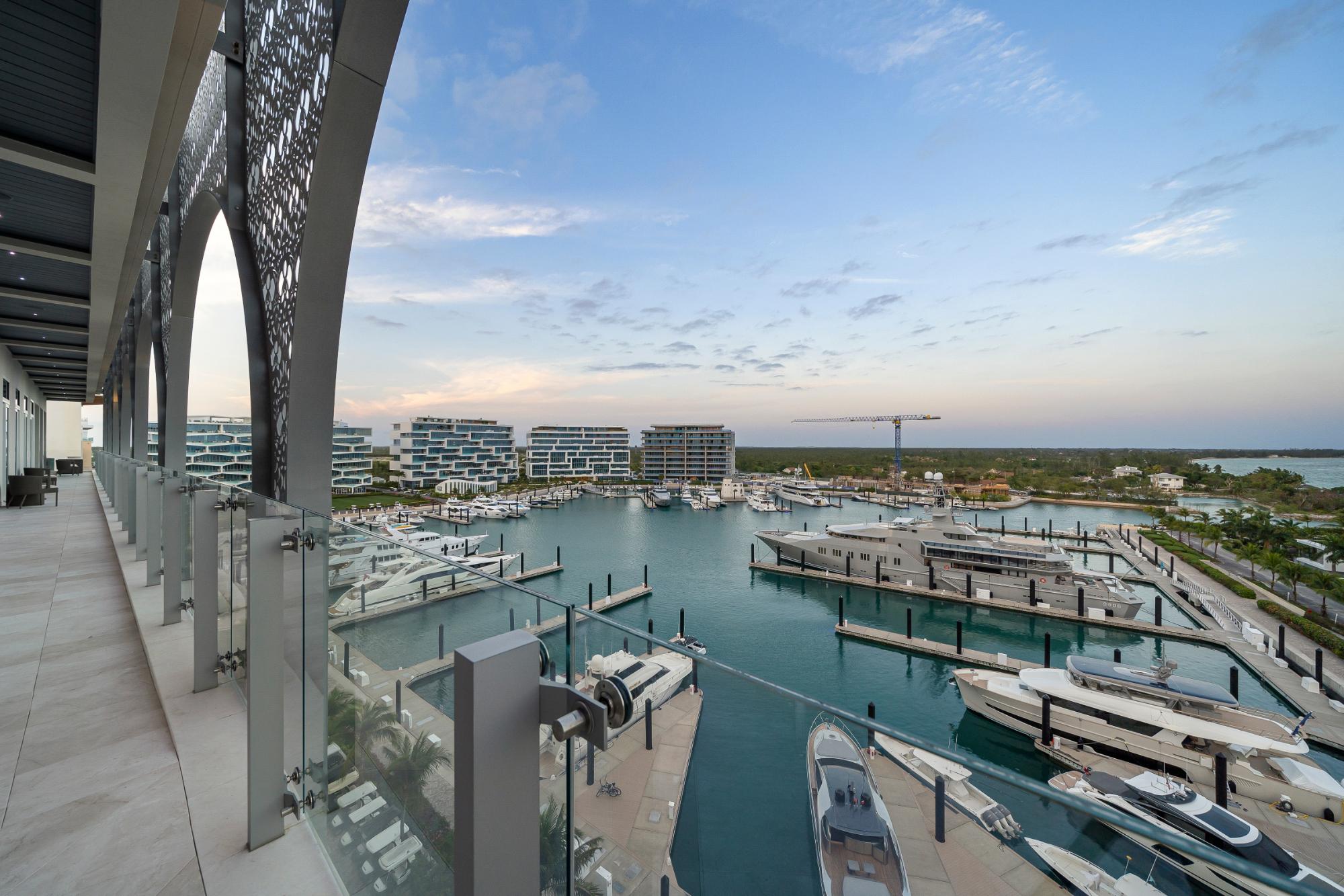 ALBANY Unit: Orchid 6