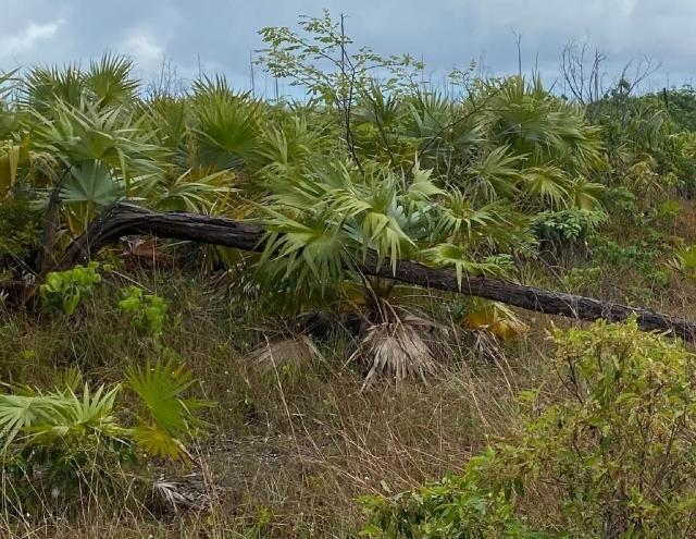 43 LEICESTER COUNTY SUBDIVIS Unit: 4