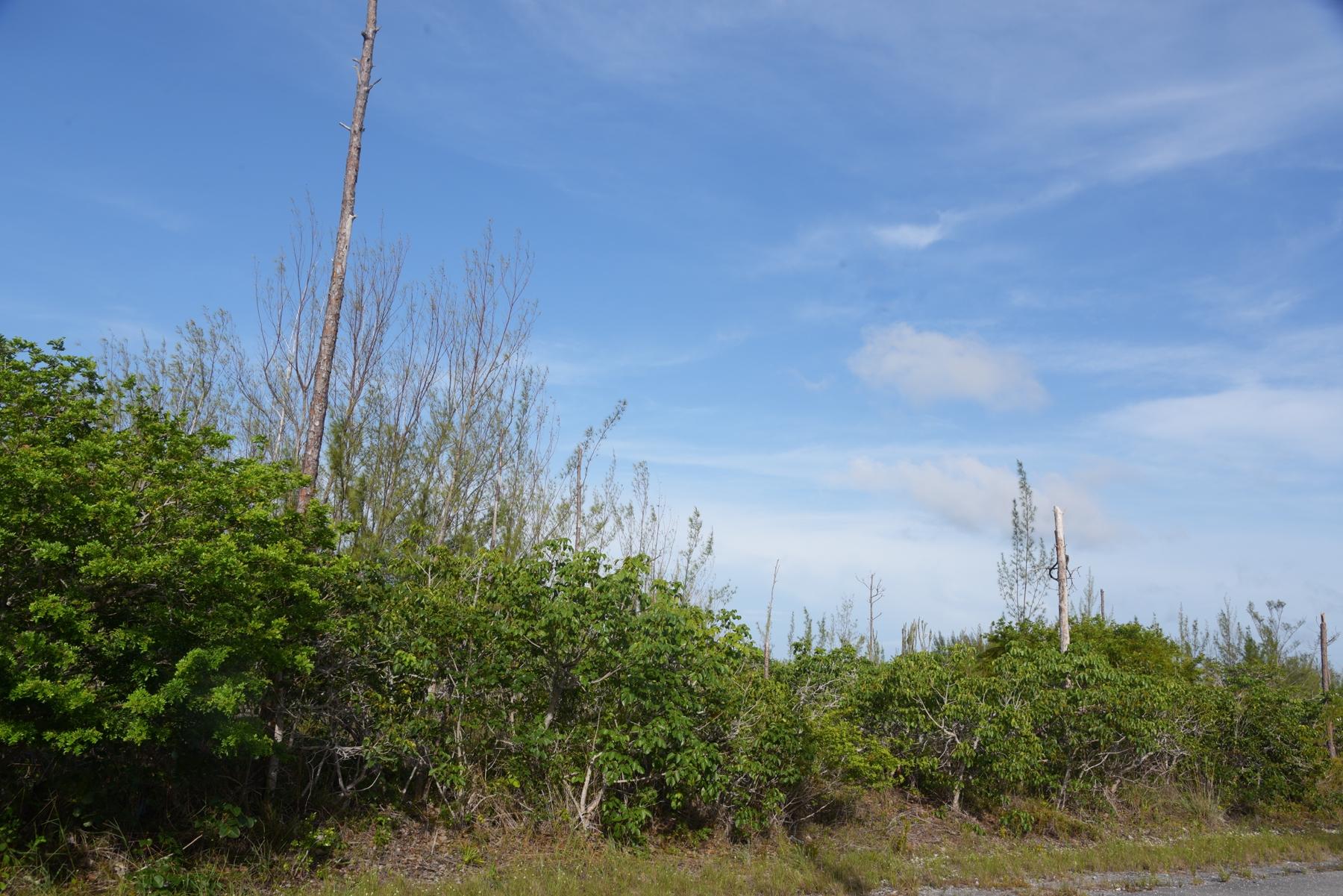 LOT 18 BLOCK 53 Unit: 2