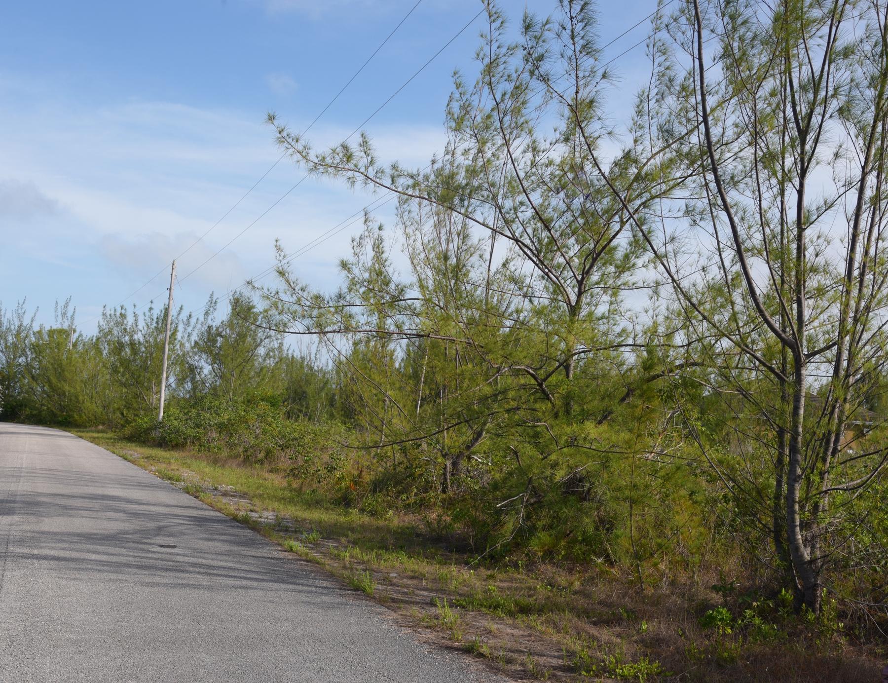 LOT 18 BLOCK 53 Unit: 2