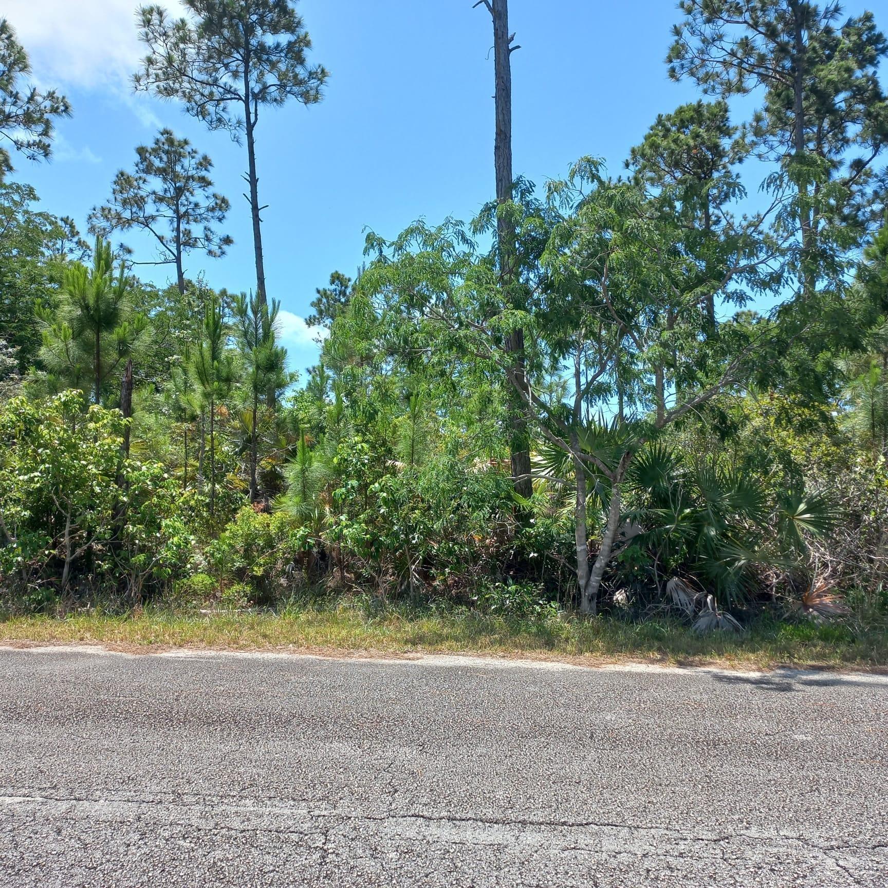 18 BLOCK 53 Unit: Suffolk