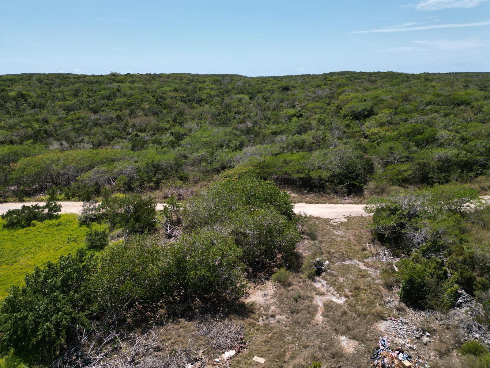 VICINITY OF CLARENCE TOWN