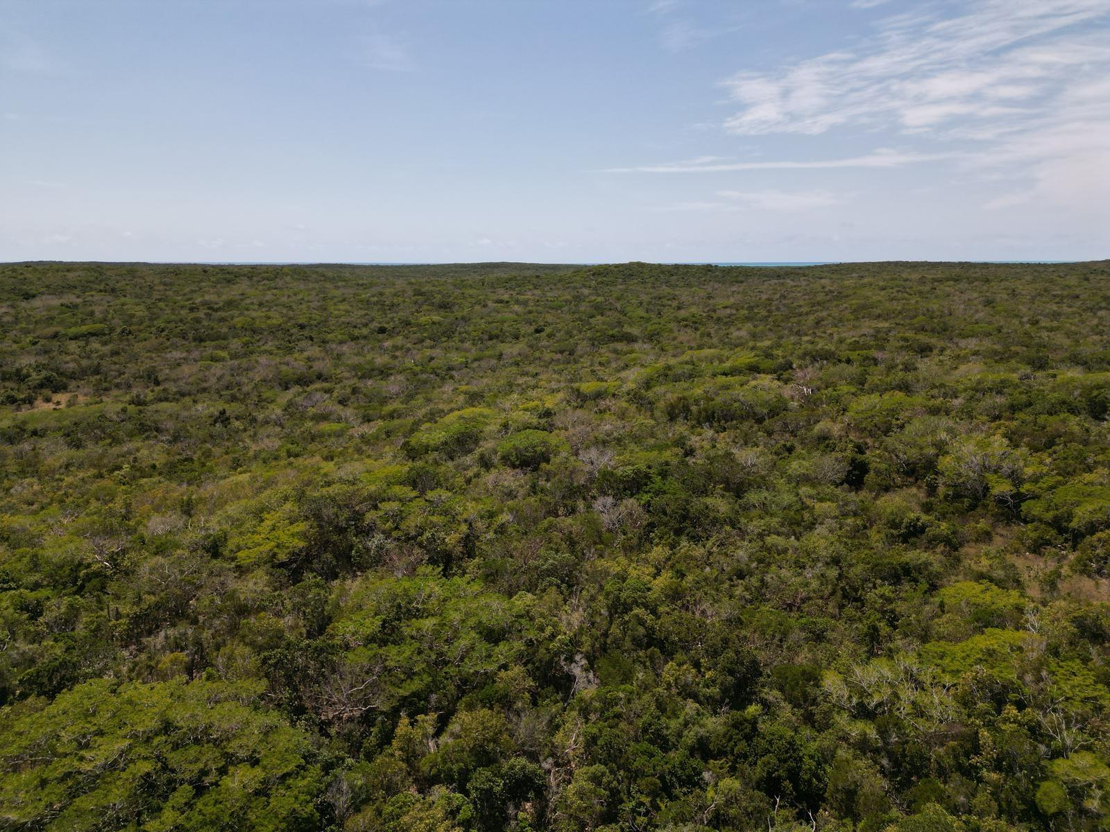 VICINITY OF CLARENCE TOWN