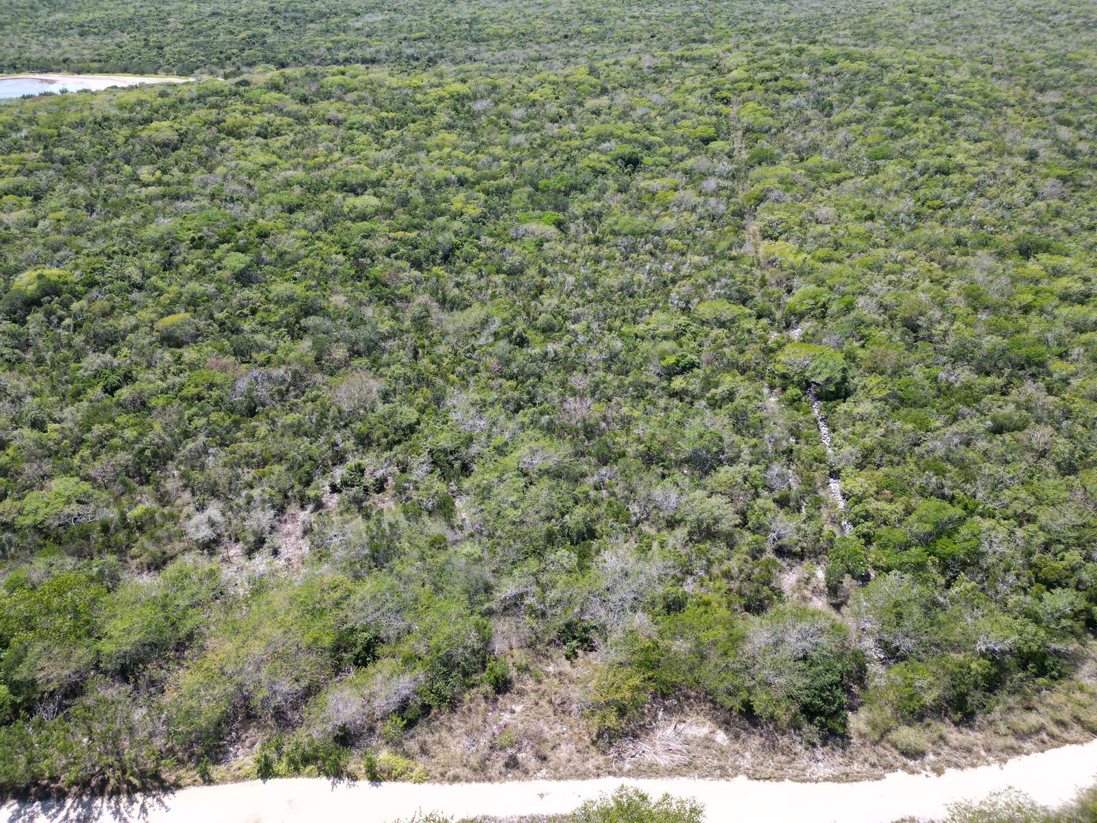 VICINITY OF CLARENCE TOWN