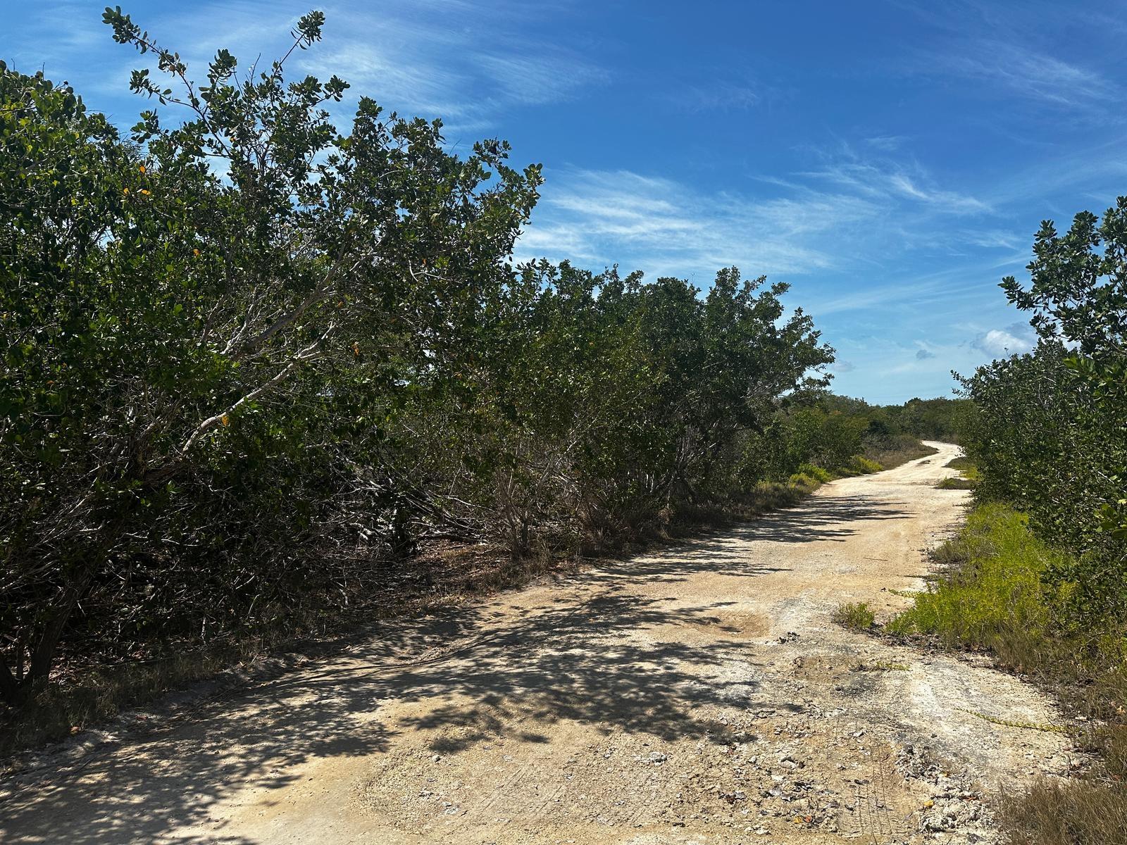 VICINITY OF CLARENCE TOWN