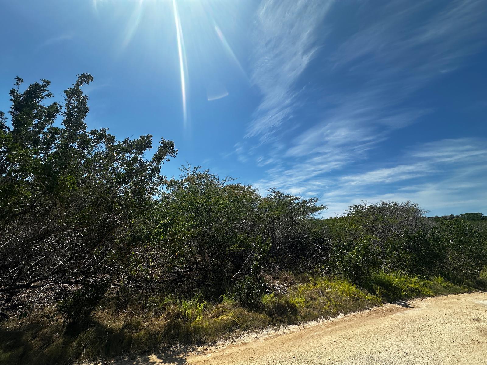 VICINITY OF CLARENCE TOWN