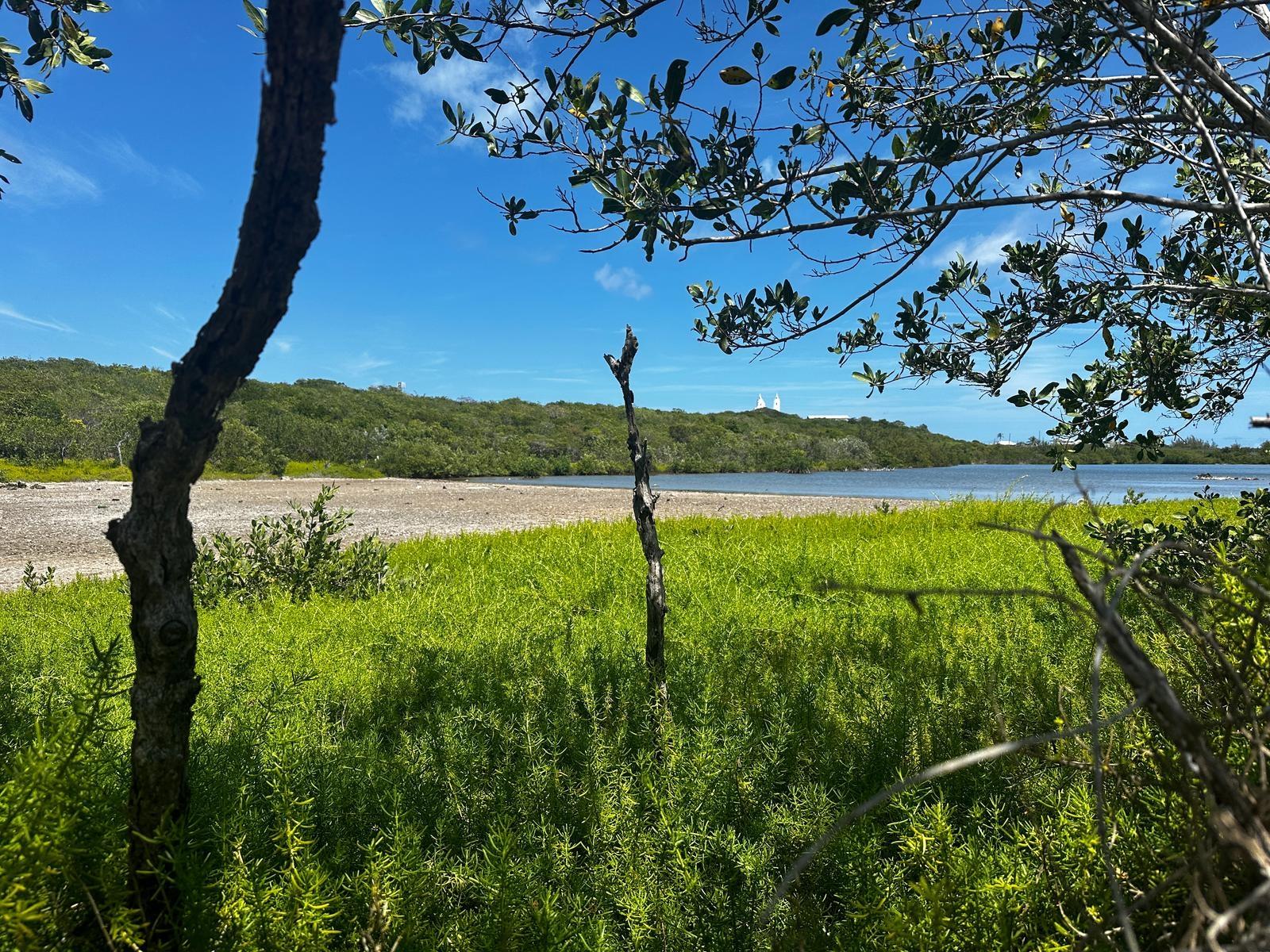 VICINITY OF CLARENCE TOWN