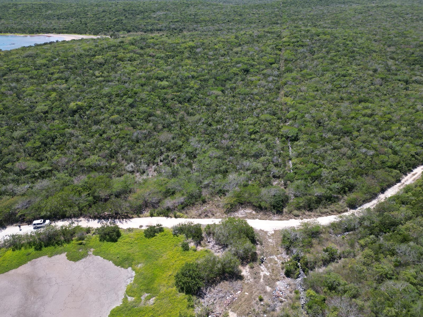 VICINITY OF CLARENCE TOWN