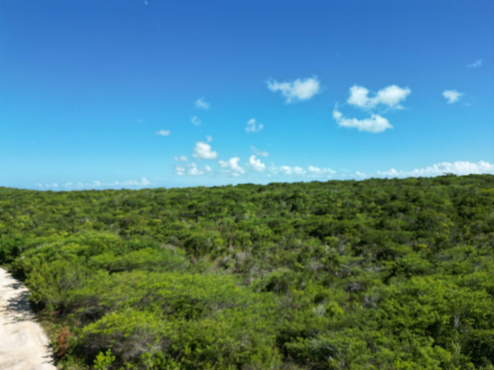 VICINITY OF CLARENCE TOWN