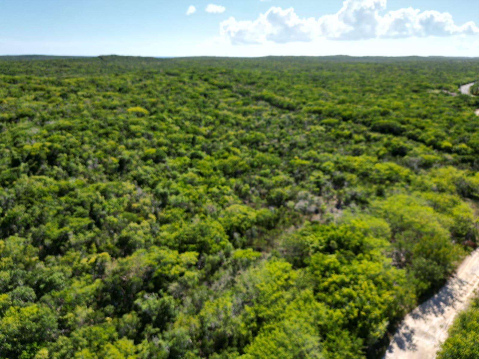 VICINITY OF CLARENCE TOWN