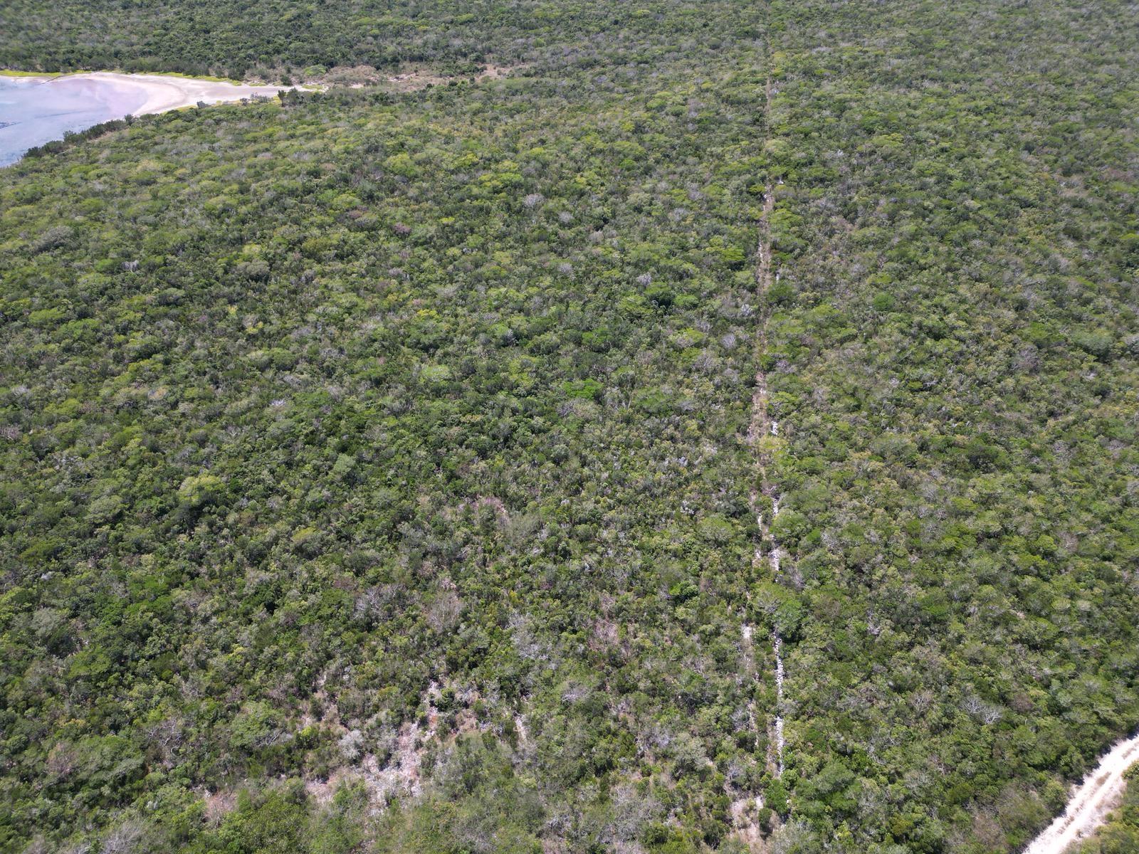 VICINITY OF CLARENCE TOWN