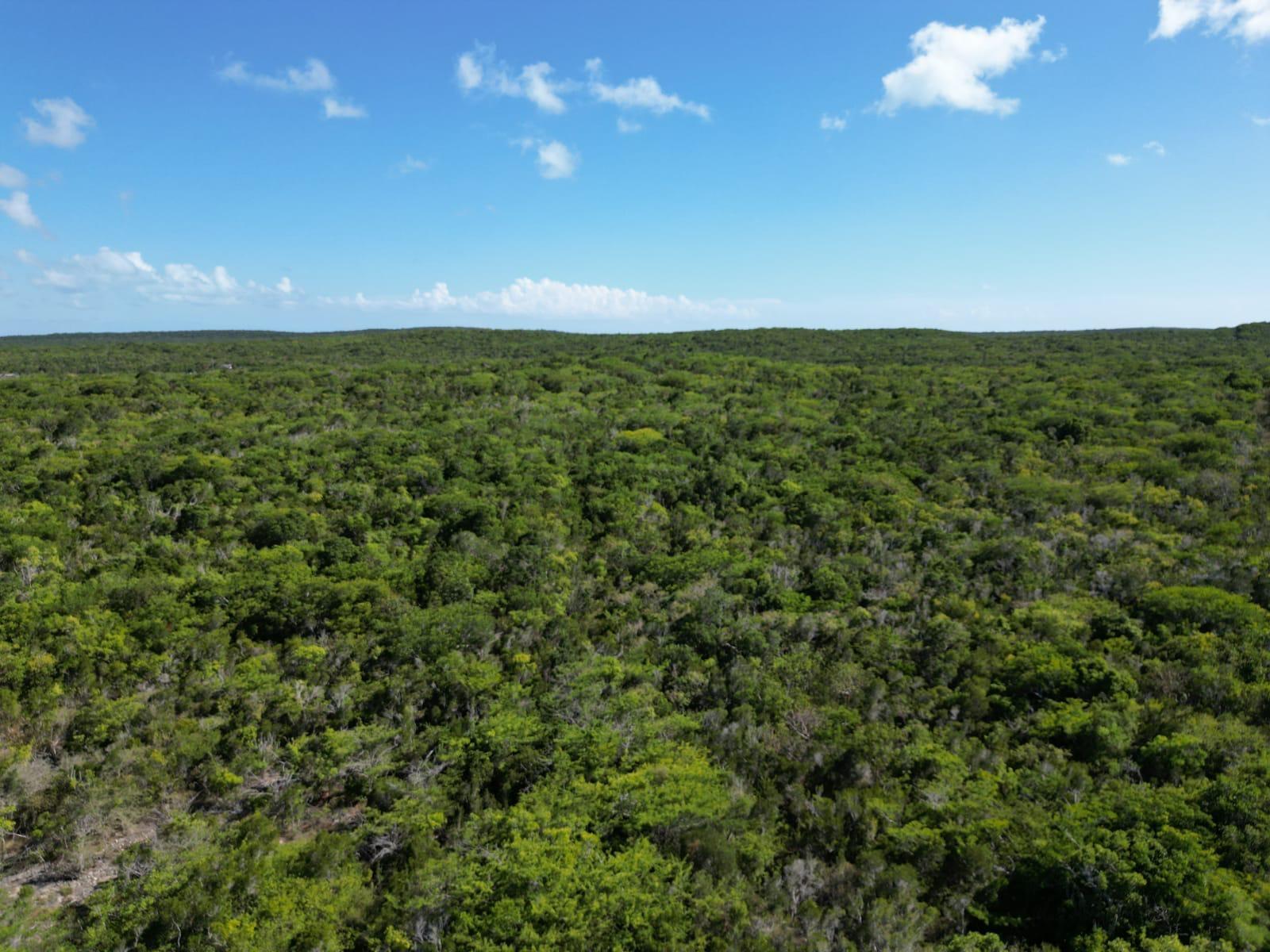 VICINITY OF CLARENCE TOWN