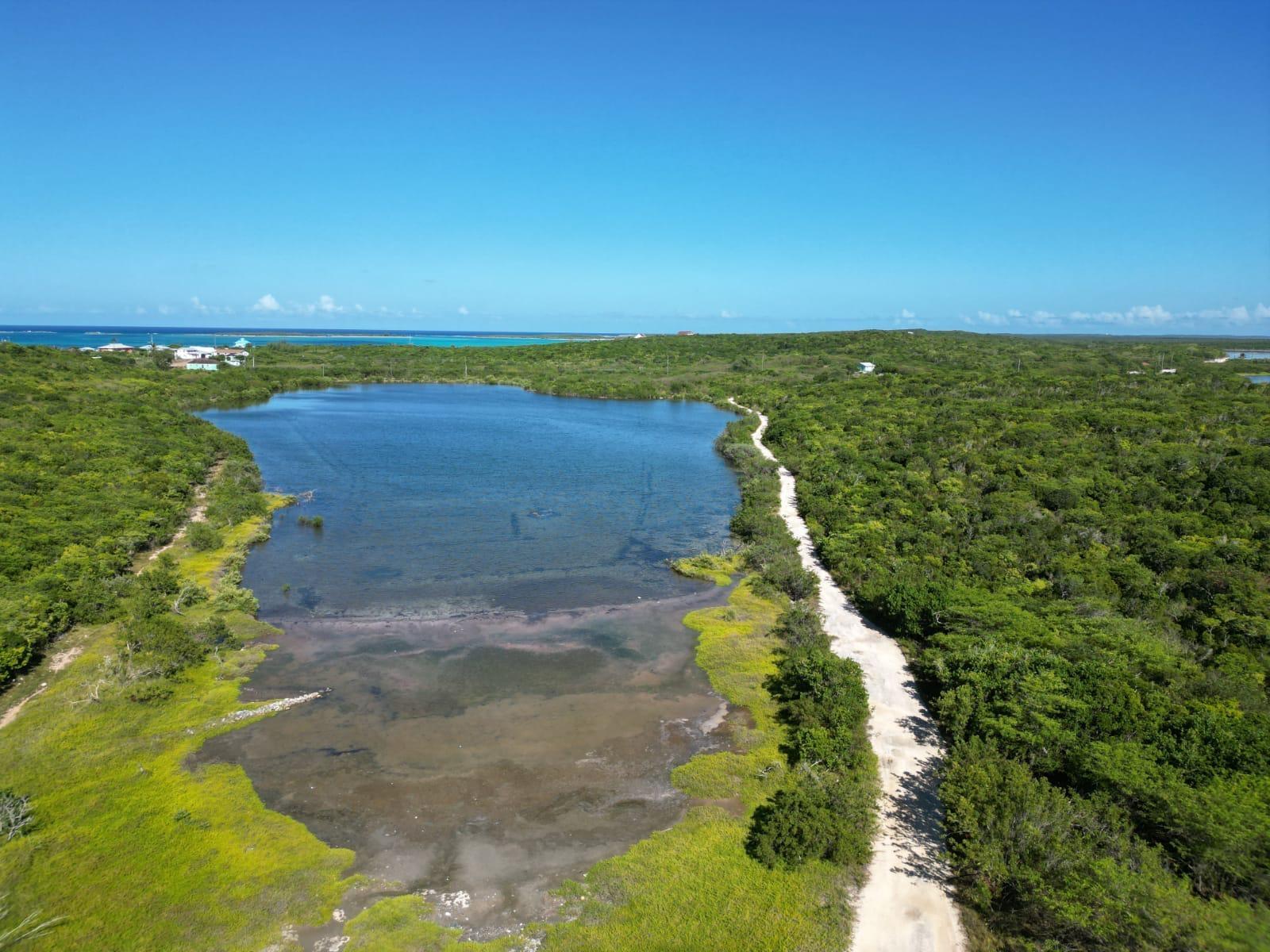 VICINITY OF CLARENCE TOWN