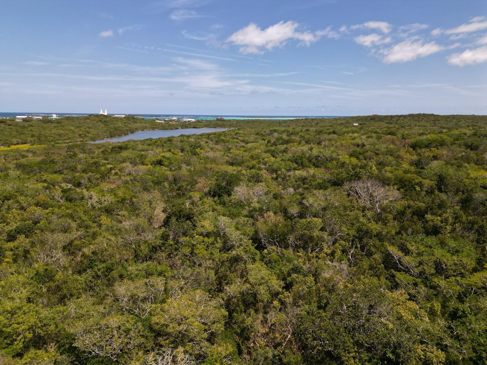 VICINITY OF CLARENCE TOWN