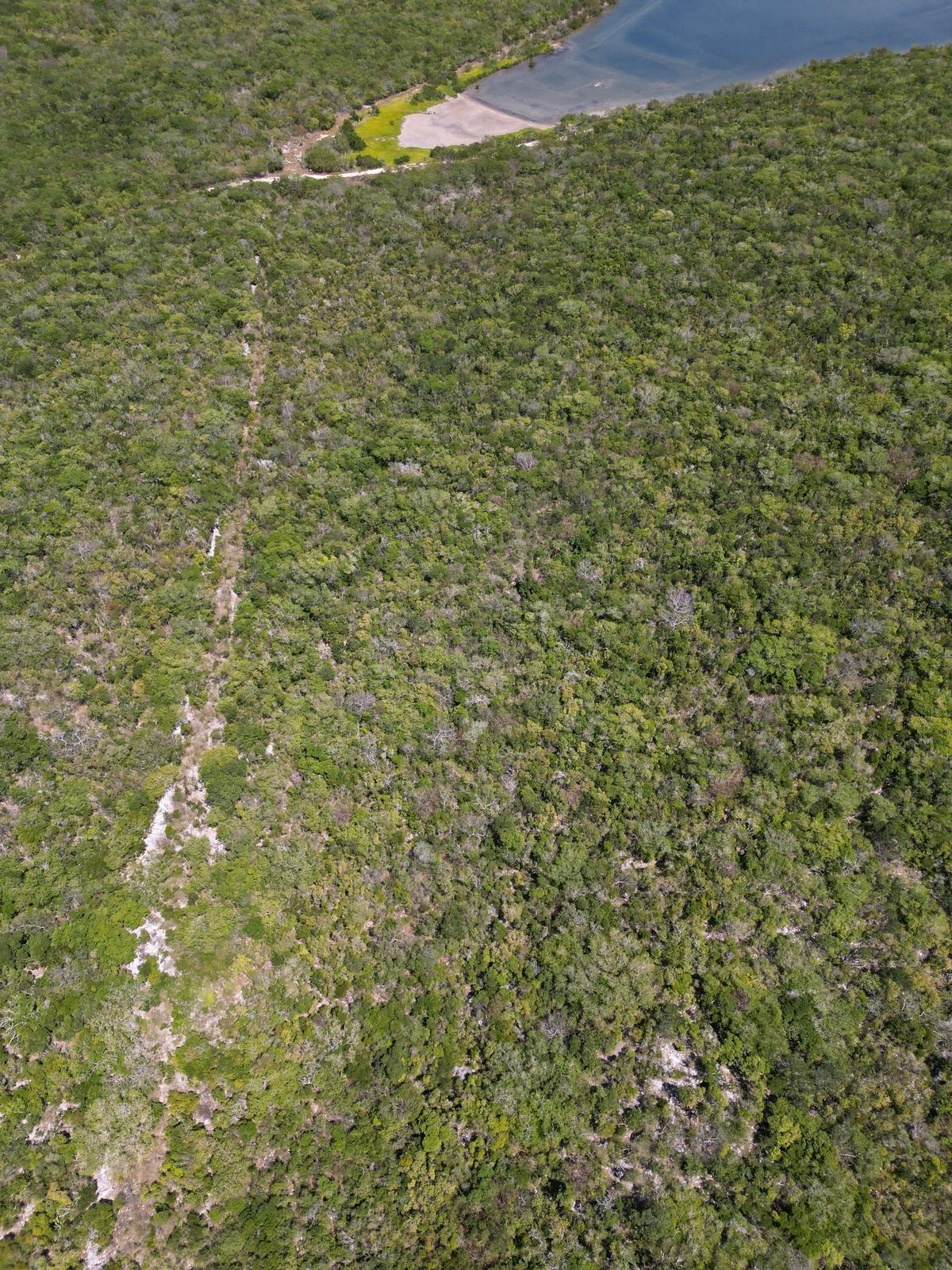 VICINITY OF CLARENCE TOWN