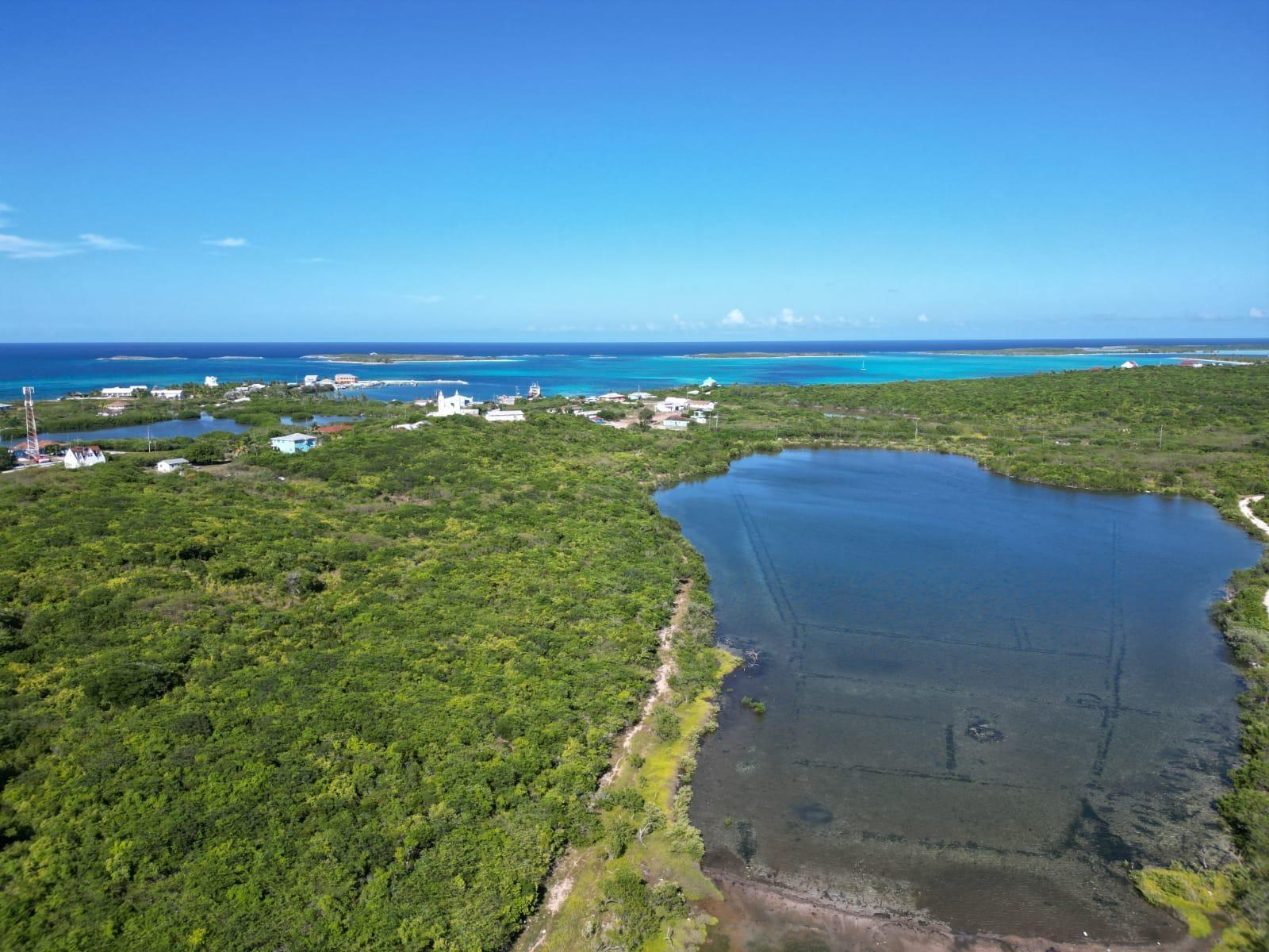 VICINITY OF CLARENCE TOWN
