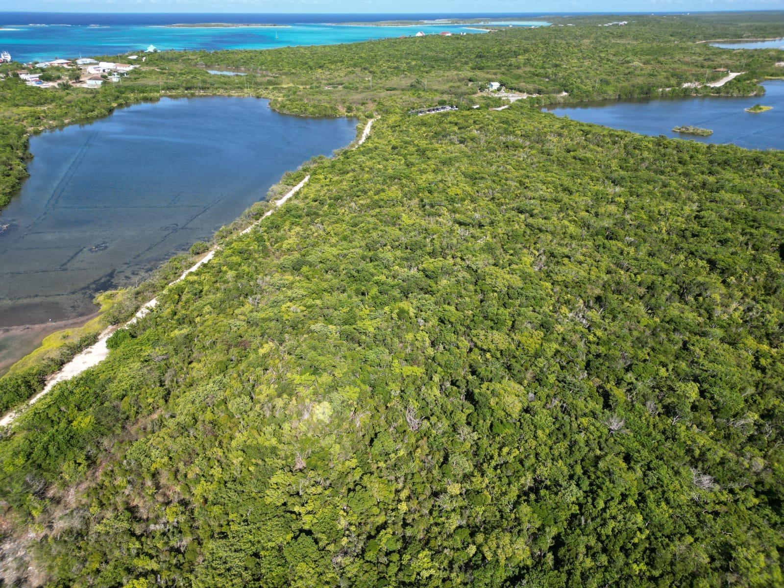 VICINITY OF CLARENCE TOWN