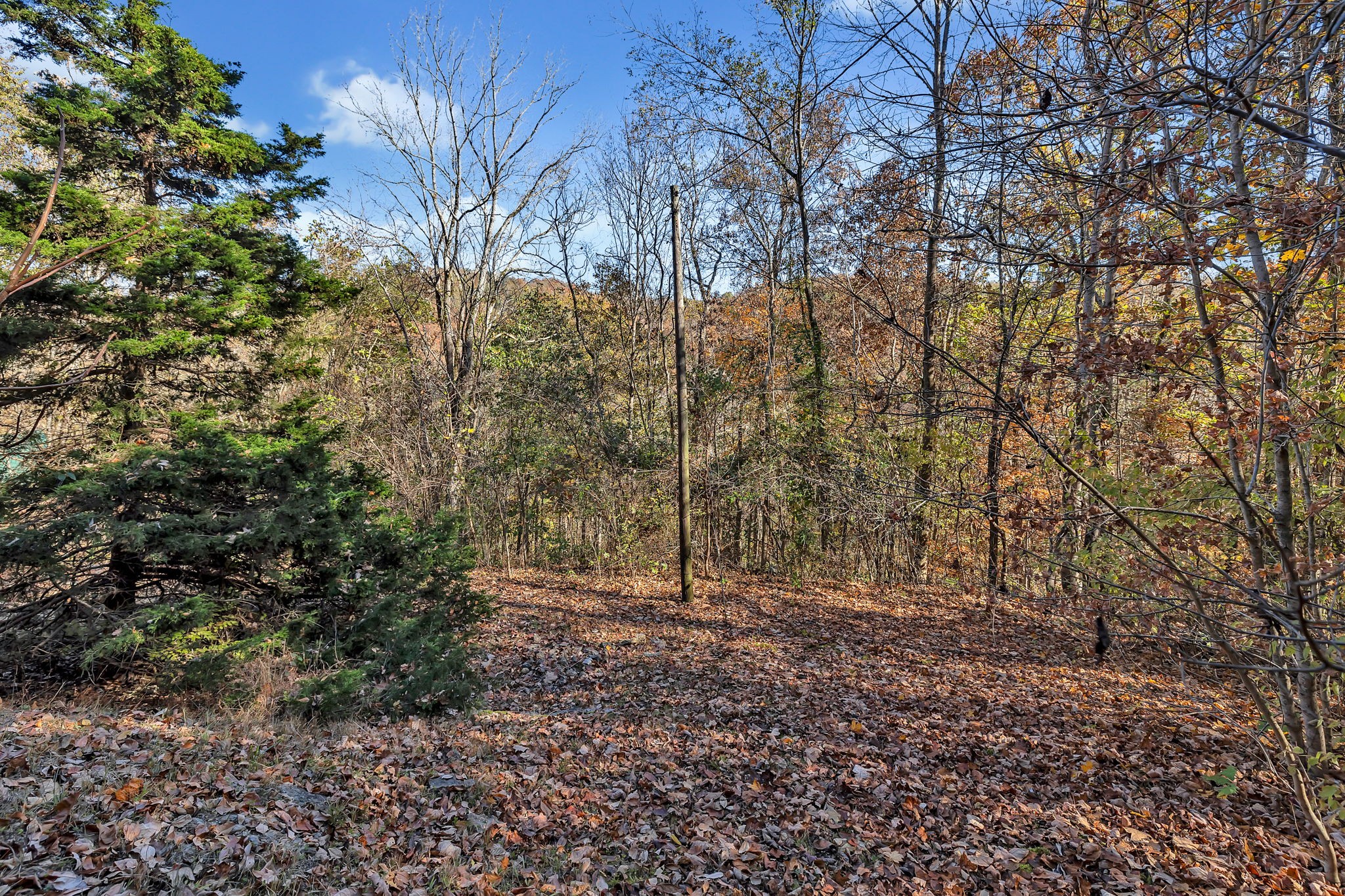 214 Mullican Dr