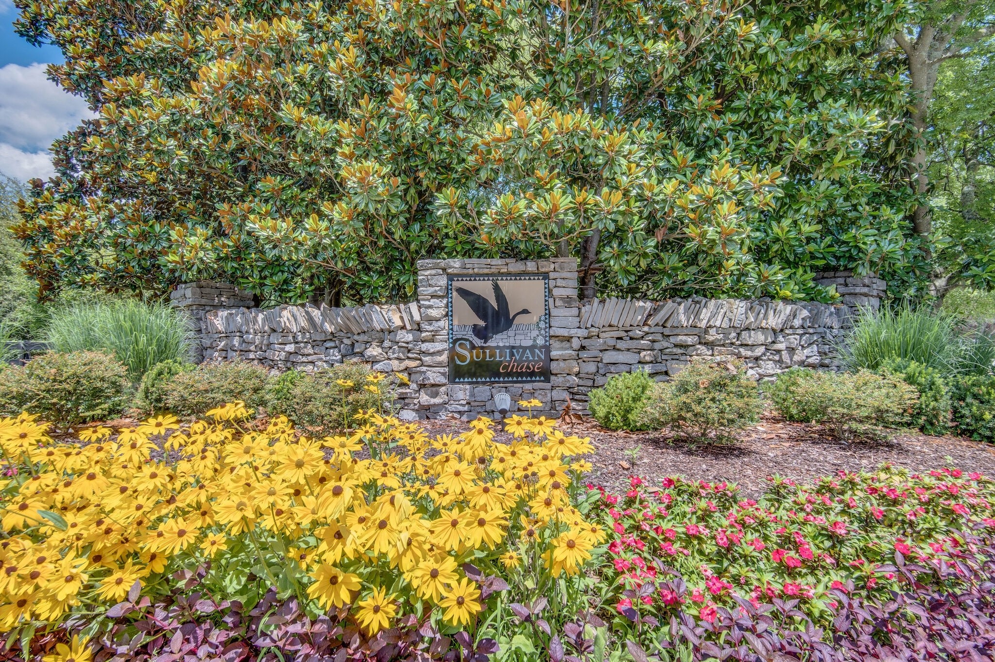213 Lighthouse Terrace