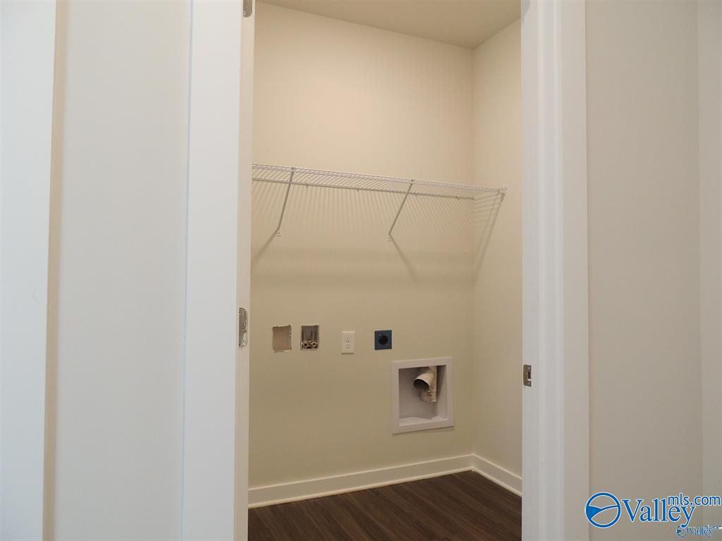 26256 Beech Grove Lane