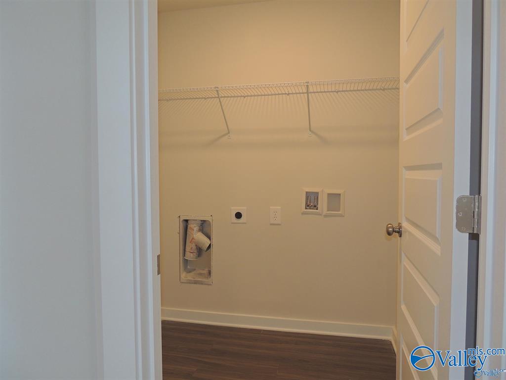 26303 Beech Grove Lane