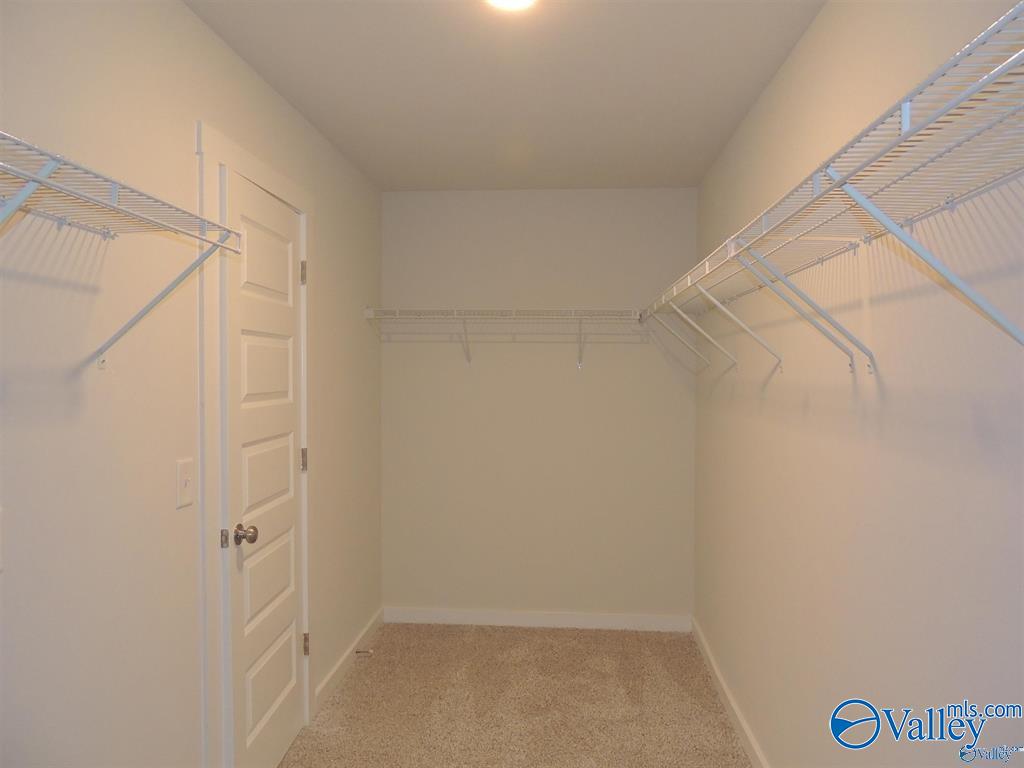 26303 Beech Grove Lane