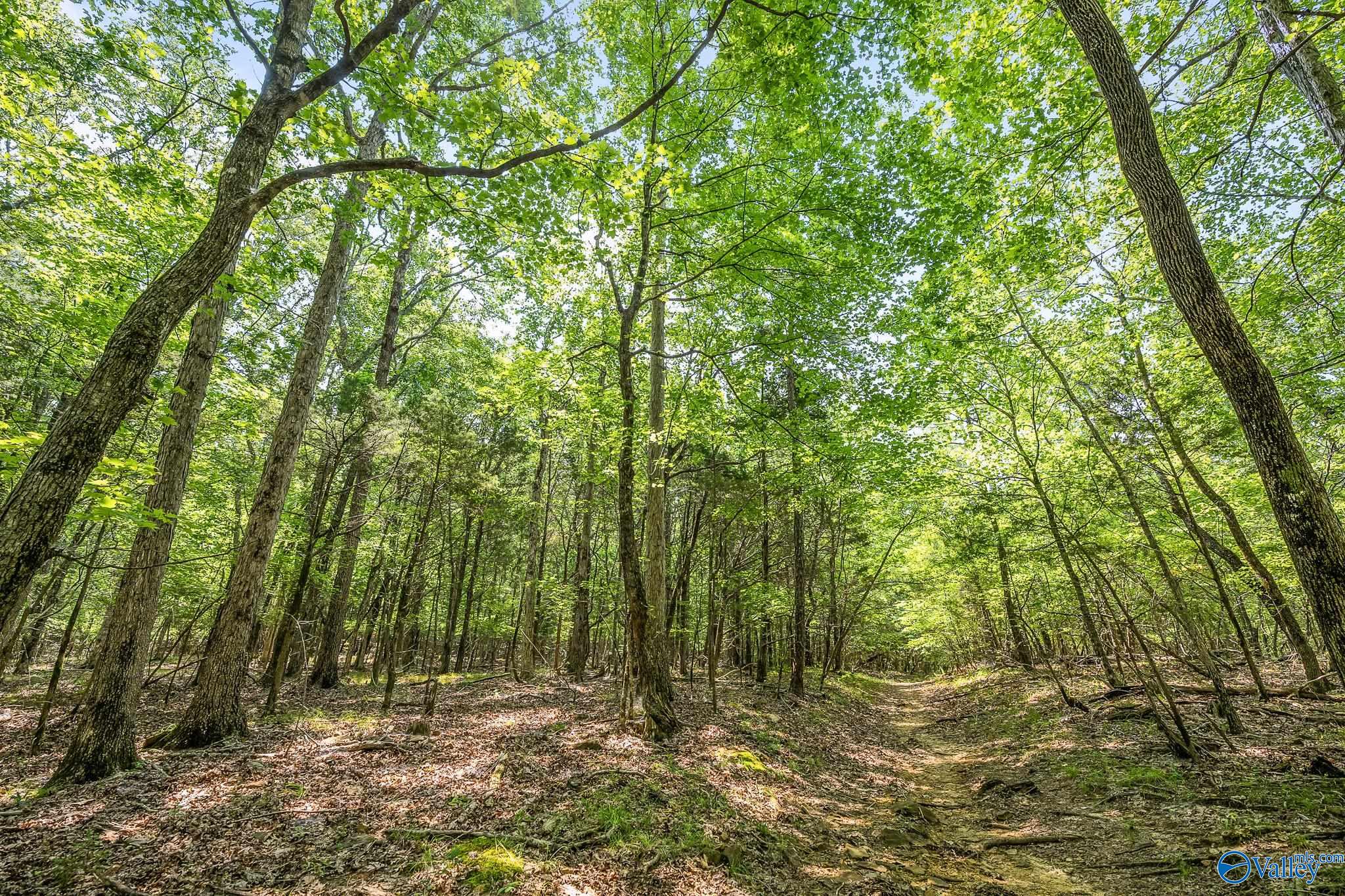 64 Acres Hawks Way