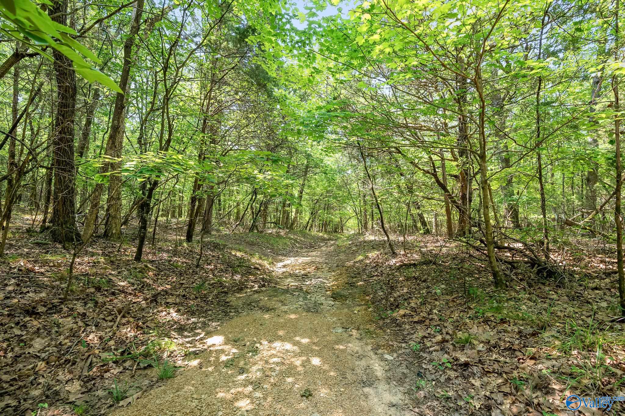 64 Acres Hawks Way