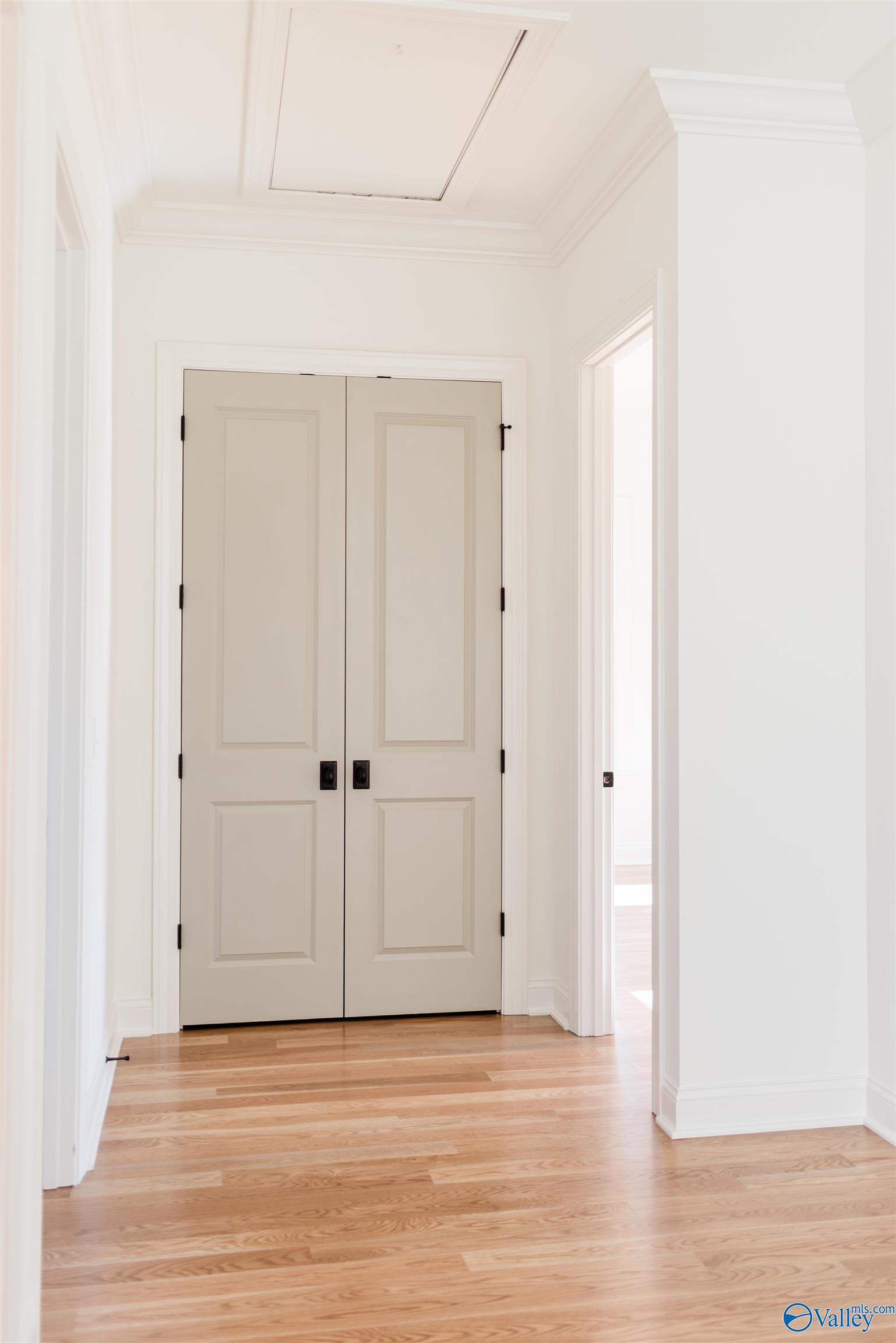 8 Lendon Main Street