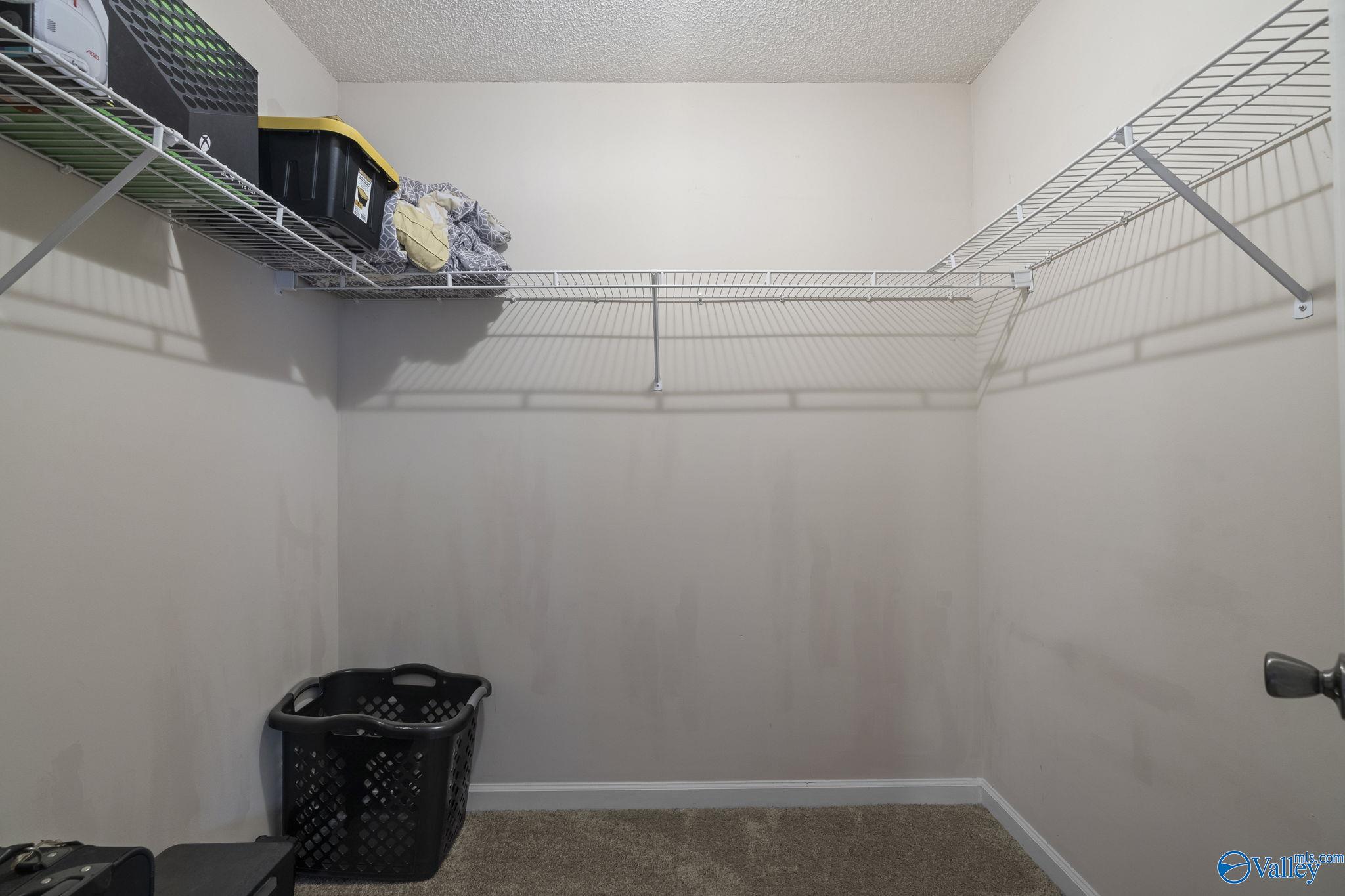 163 Whitt Haven Drive