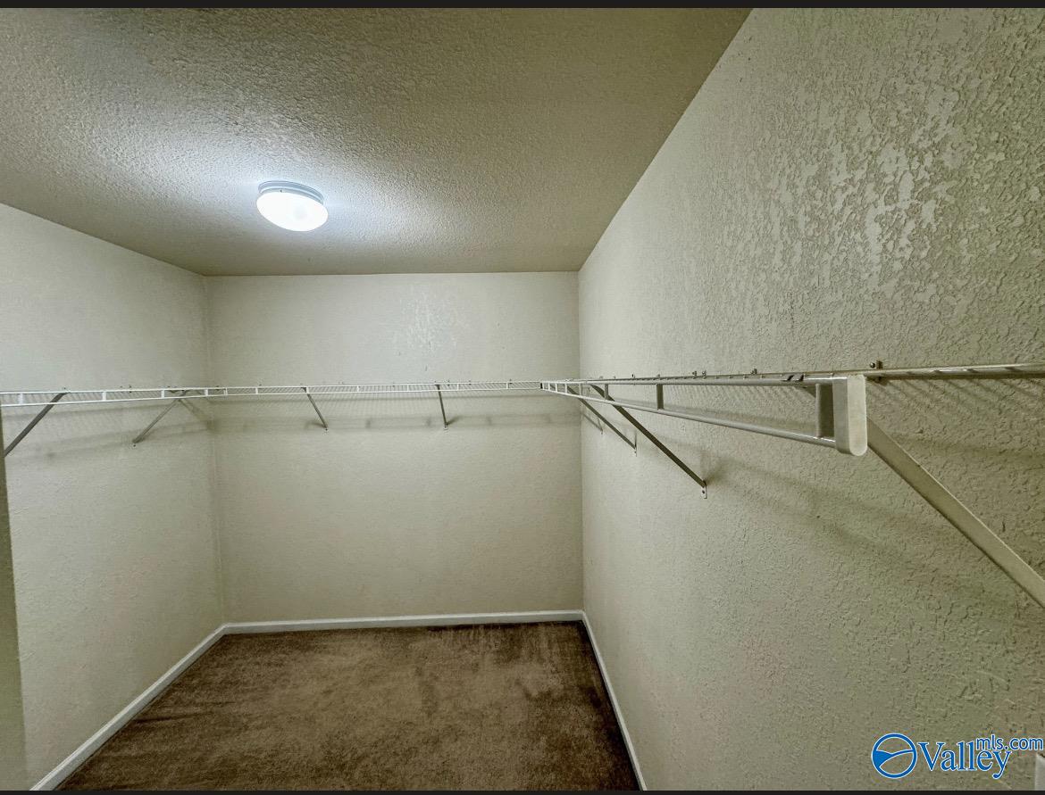 113 Lockport Drive