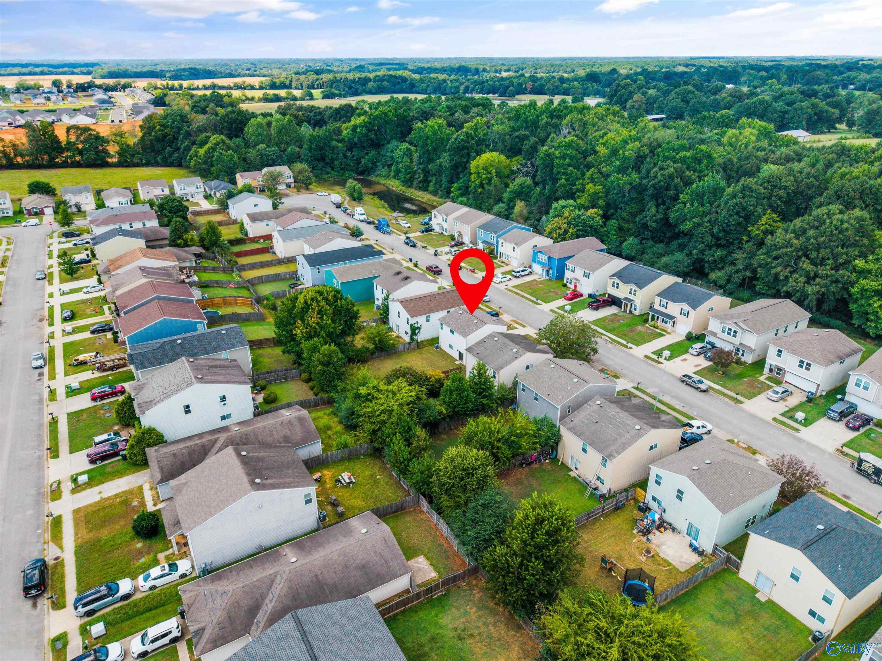 203 Farmington Drive