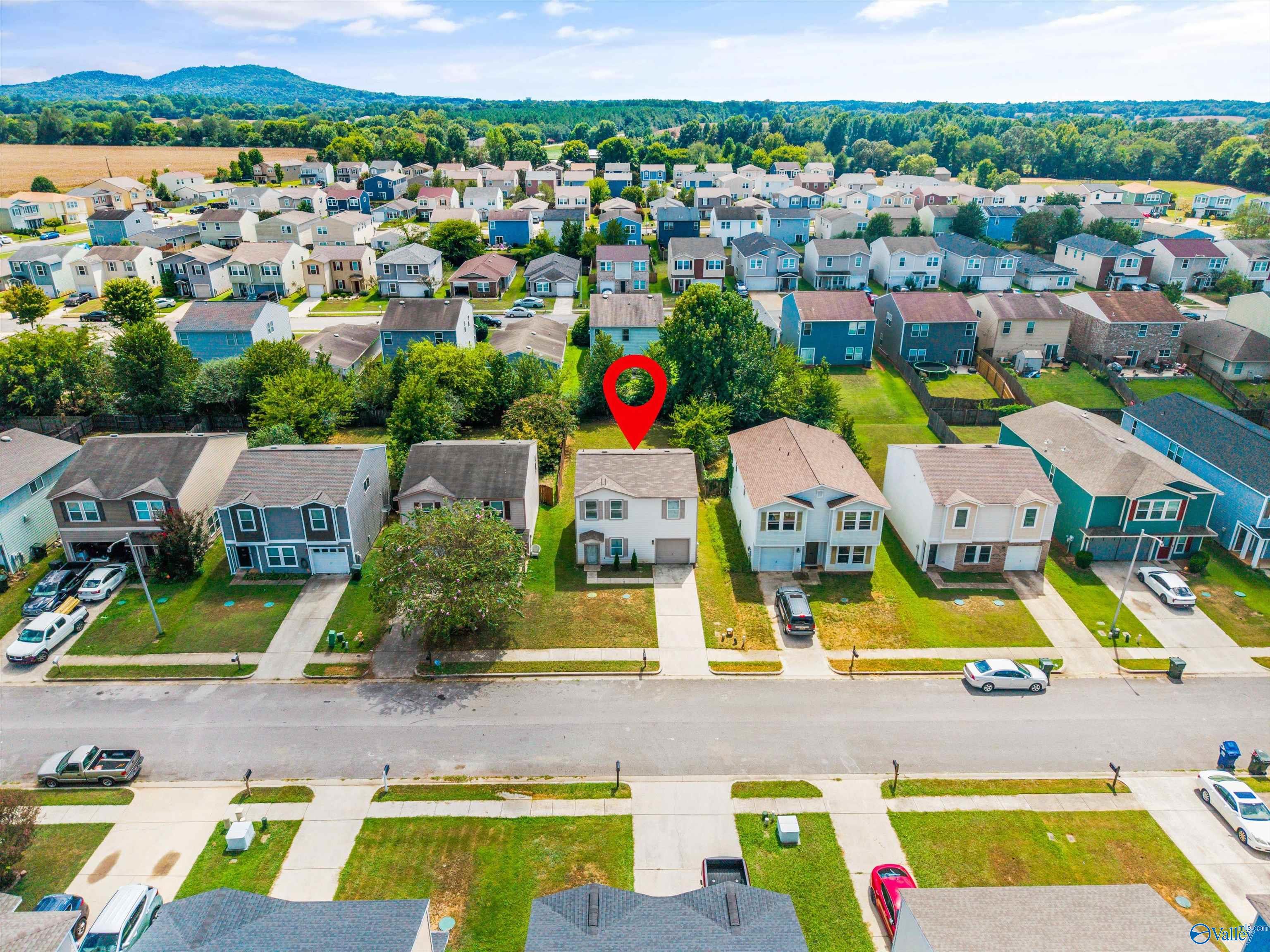 203 Farmington Drive