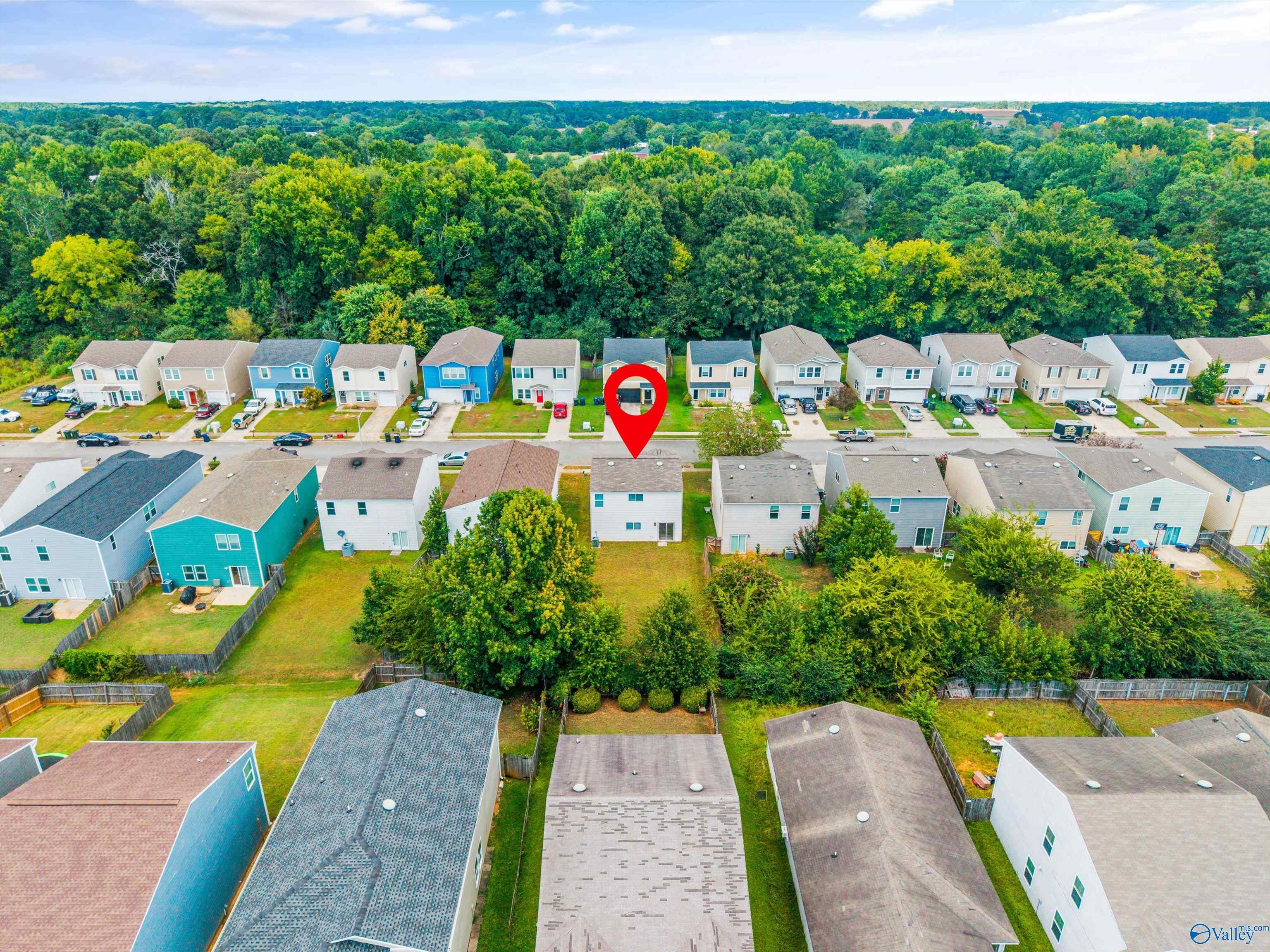 203 Farmington Drive