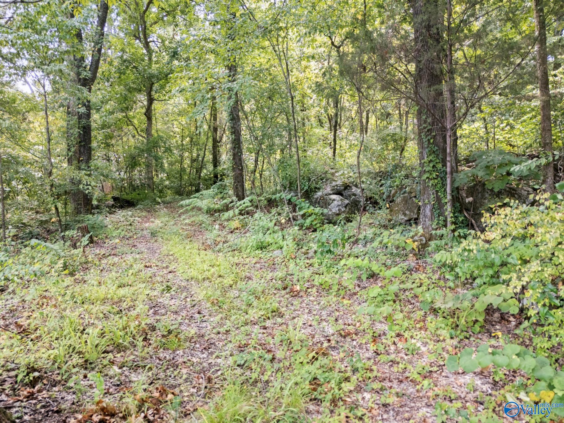 Lot 6 Todd Mill Road