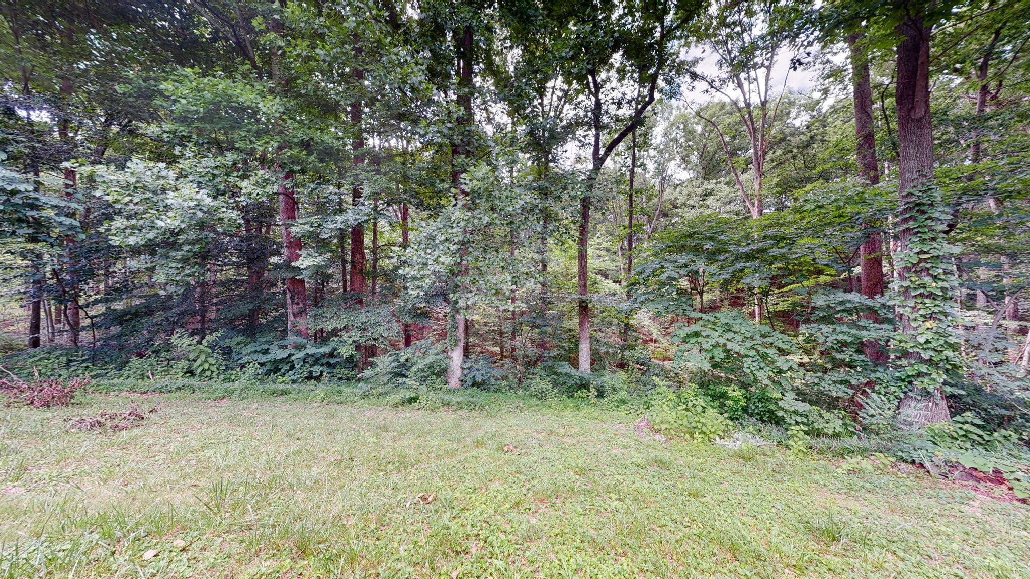 205 Glenwood Dr