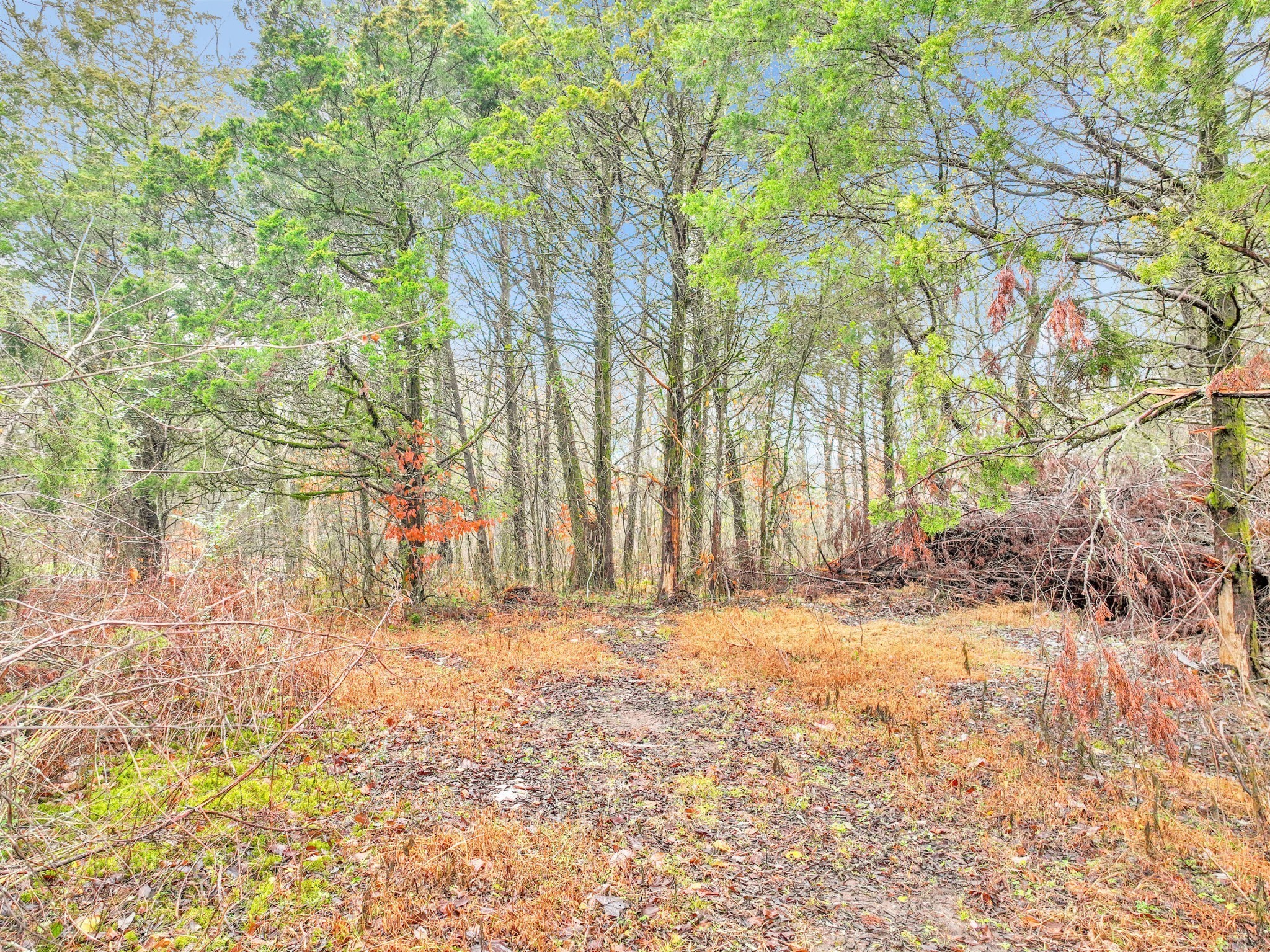 0 Phillips Rd