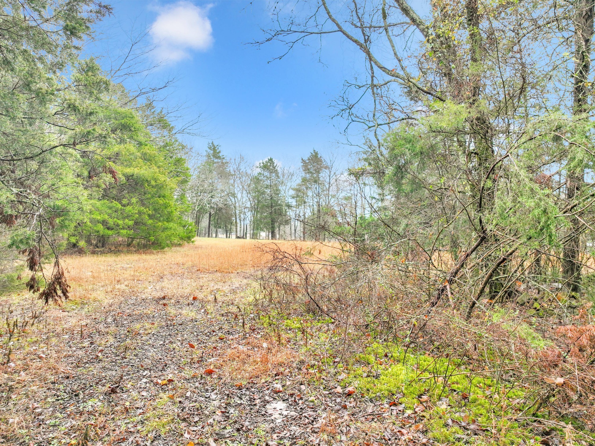 0 Phillips Rd